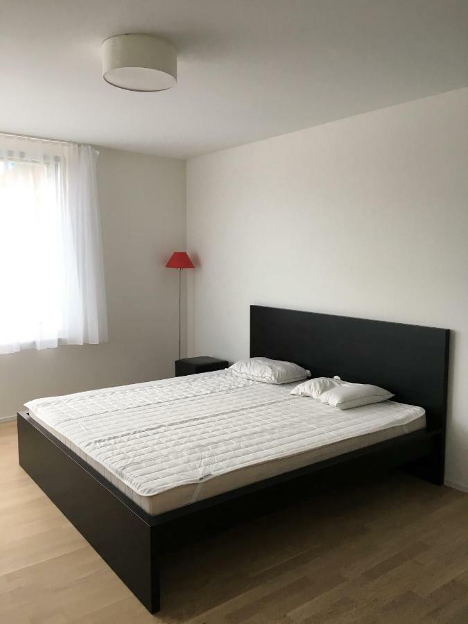 Close To Zuerich Centre And Airport Kloten Exteriör bild